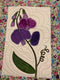 Sweet Pea Block Add-on 5x7 6x10 8x12 - Sweet Pea Australia In the hoop machine embroidery designs. in the hoop project, in the hoop embroidery designs, craft in the hoop project, diy in the hoop project, diy craft in the hoop project, in the hoop embroidery patterns, design in the hoop patterns, embroidery designs for in the hoop embroidery projects, best in the hoop machine embroidery designs perfect for all hoops and embroidery machines