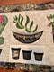 Succulent and Cacti Table Runner 5x7 6x10 8x12 - Sweet Pea Australia In the hoop machine embroidery designs. in the hoop project, in the hoop embroidery designs, craft in the hoop project, diy in the hoop project, diy craft in the hoop project, in the hoop embroidery patterns, design in the hoop patterns, embroidery designs for in the hoop embroidery projects, best in the hoop machine embroidery designs perfect for all hoops and embroidery machines