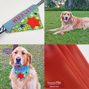Over the Collar Pet Bandanas 5x7 6x10 7x12 In the hoop machine embroidery designs