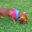 Over the Collar Pet Bandanas 5x7 6x10 7x12 In the hoop machine embroidery designs